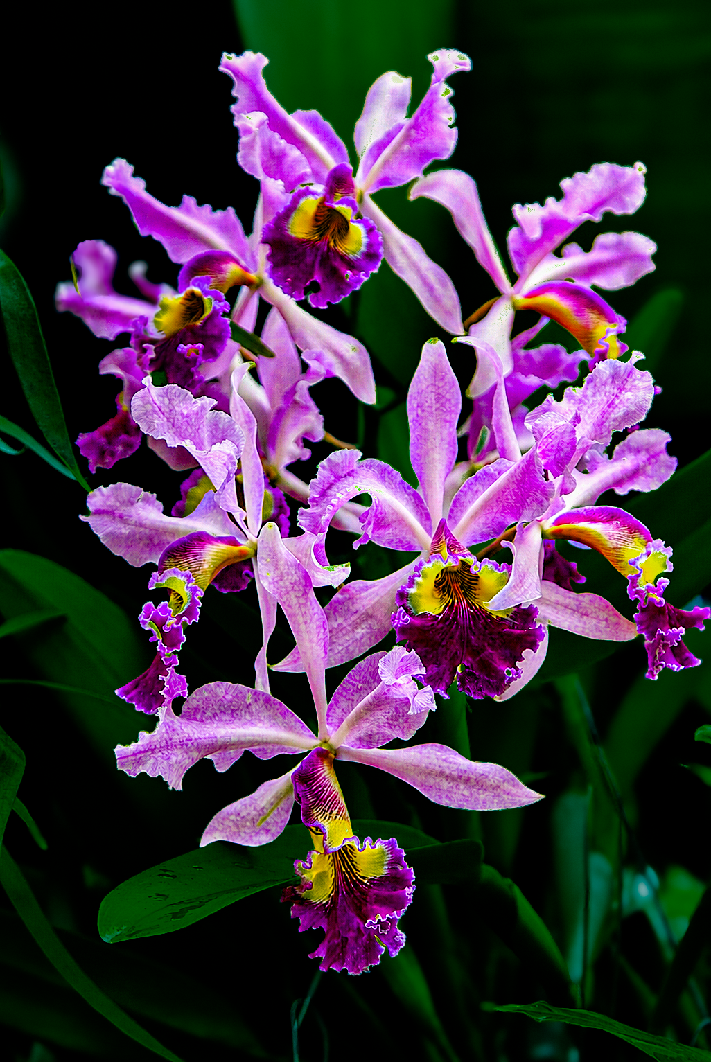 Flowers-08