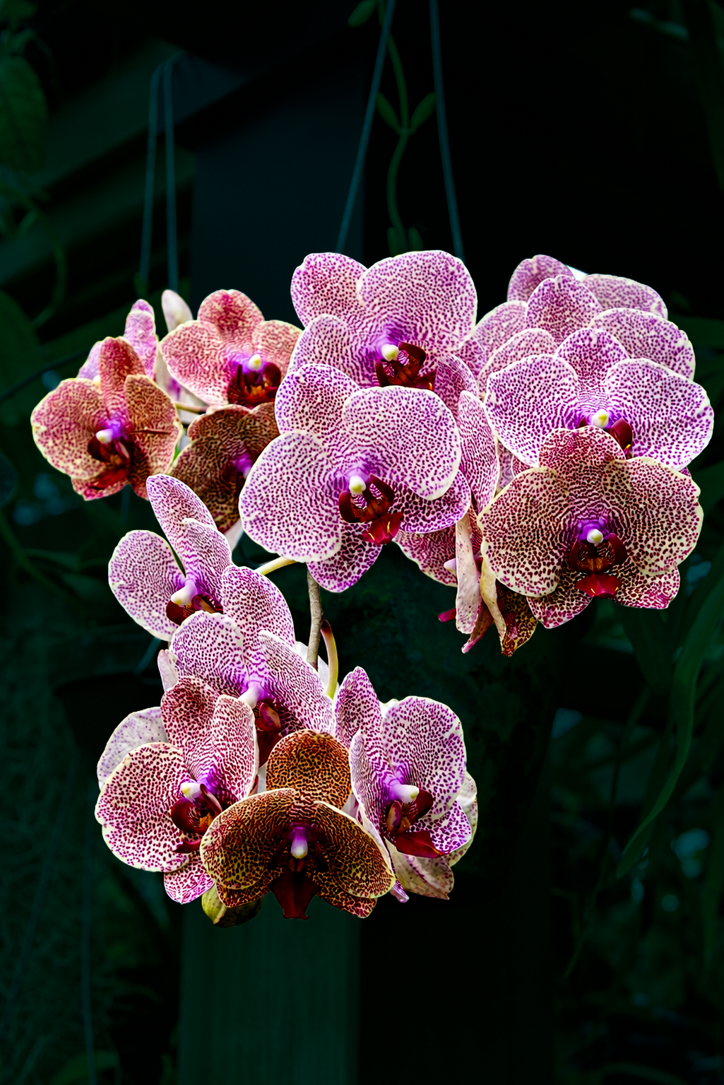 Flowers-09
