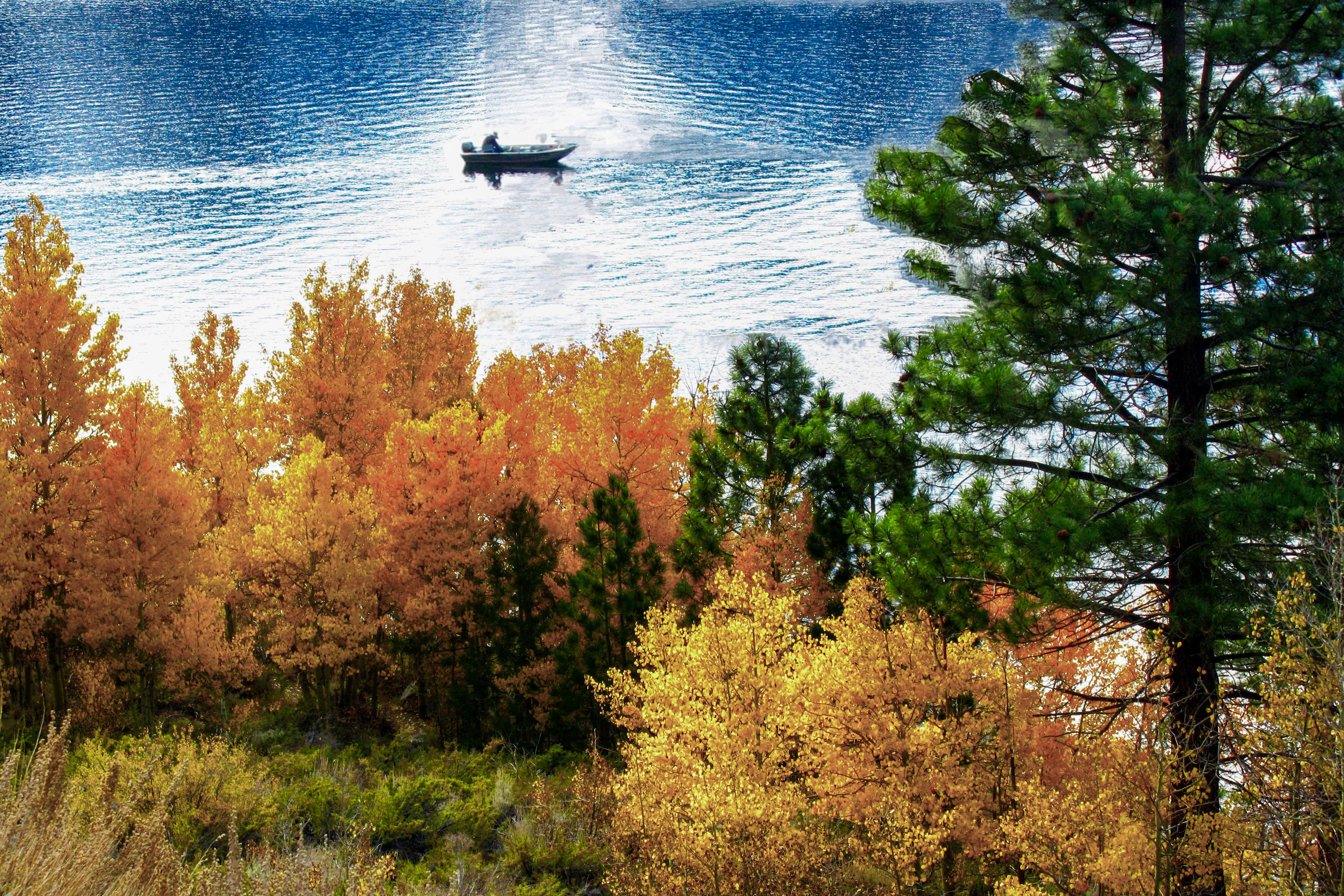 US-landscape-05