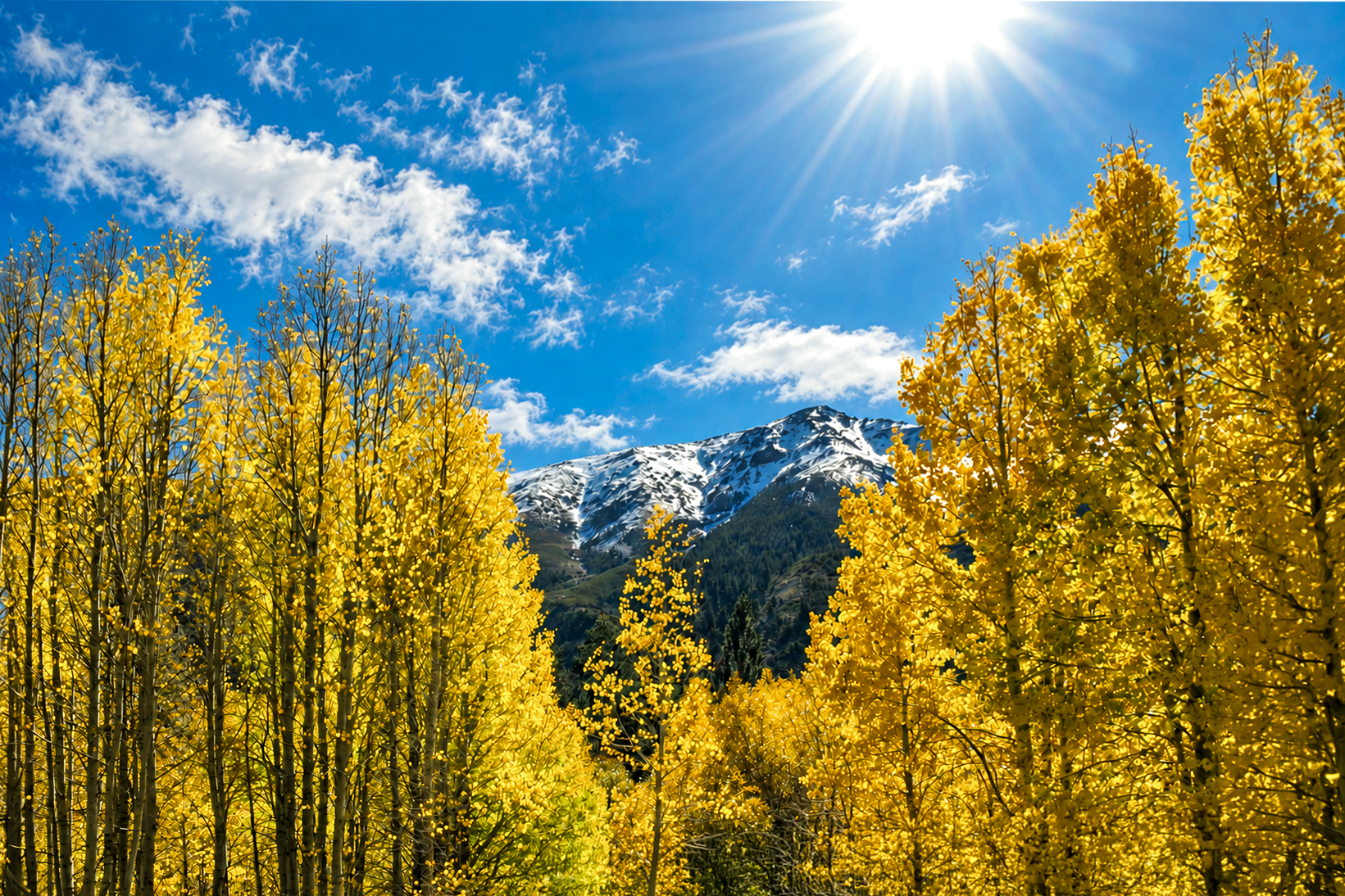 US-landscape-10