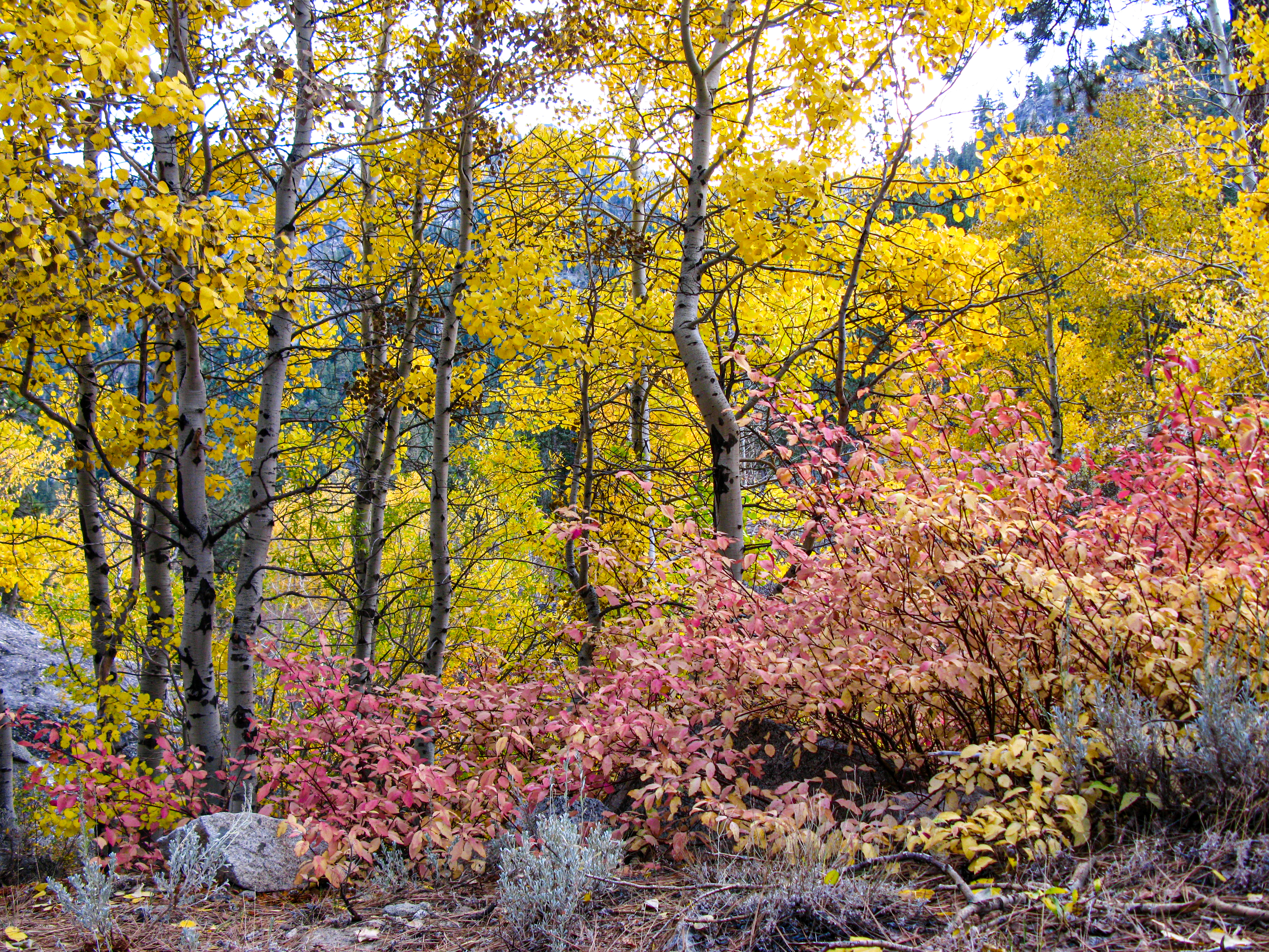 US-landscape-17
