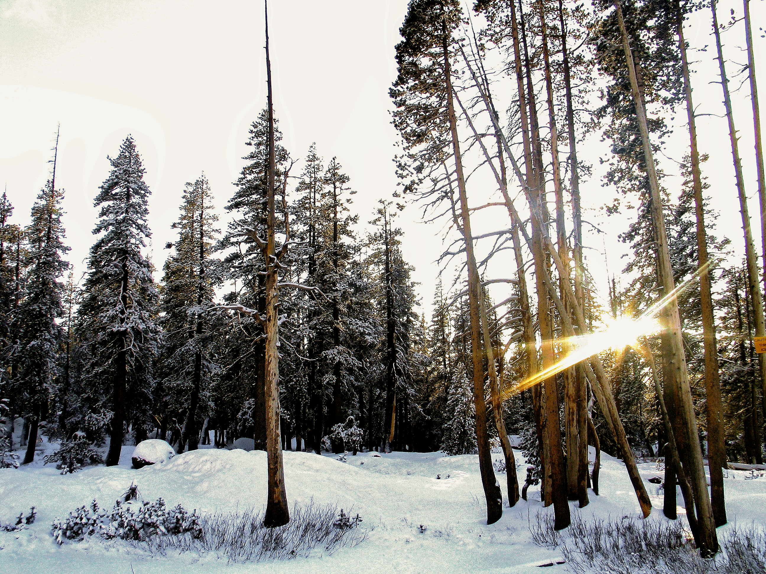 US-landscape-19