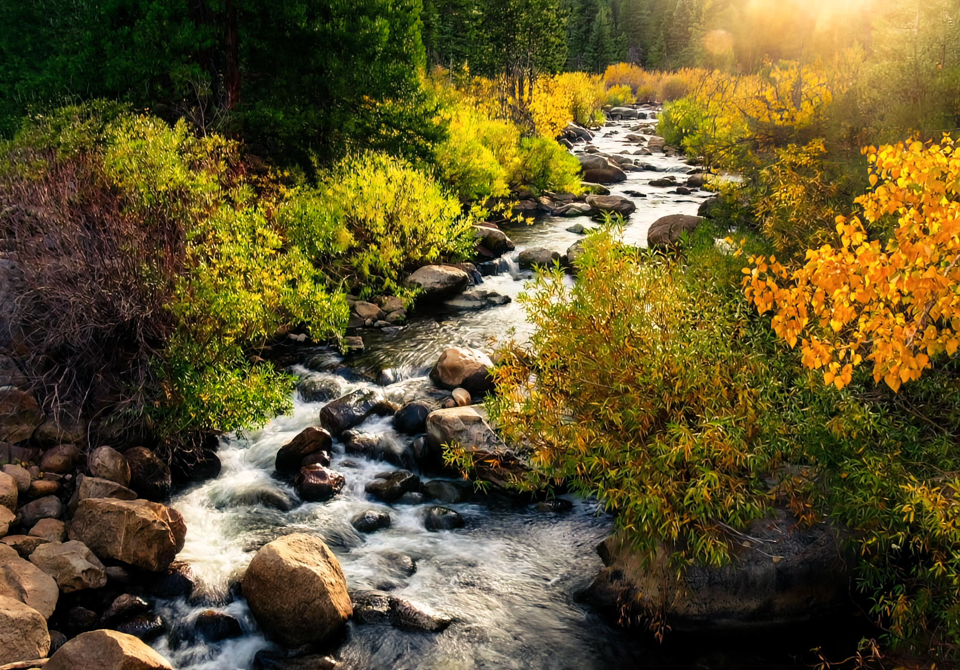 US-landscape-21