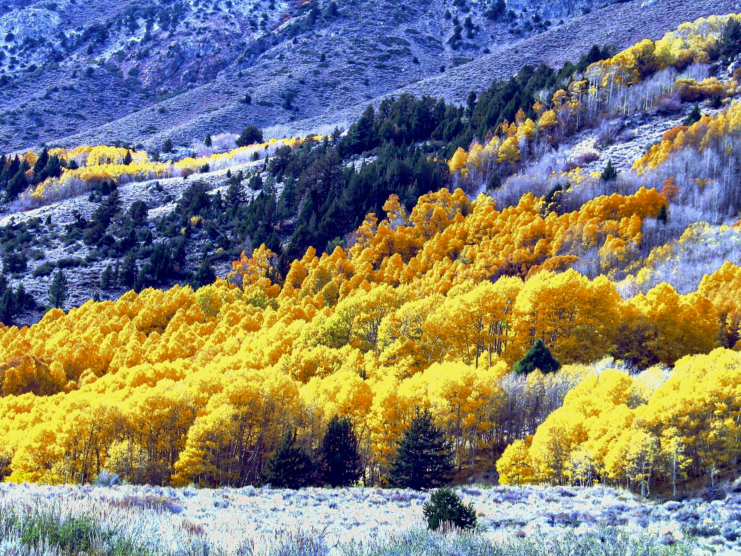 US-landscape-25