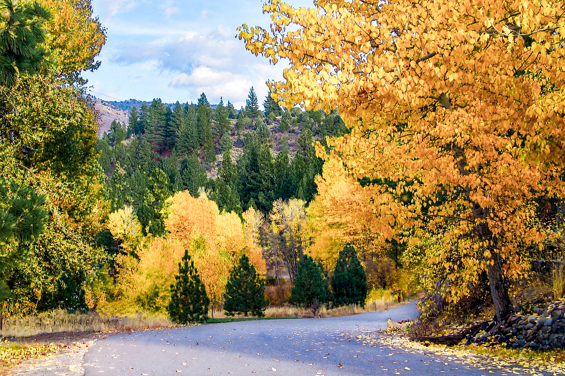 US-landscape-33